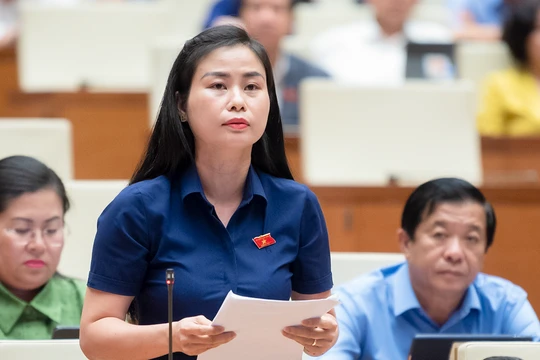 Đại biểu Đặng Thị Bảo Trinh - Đoàn ĐBQH tỉnh Quảng Nam - tại phiên thảo luận ở hội trường