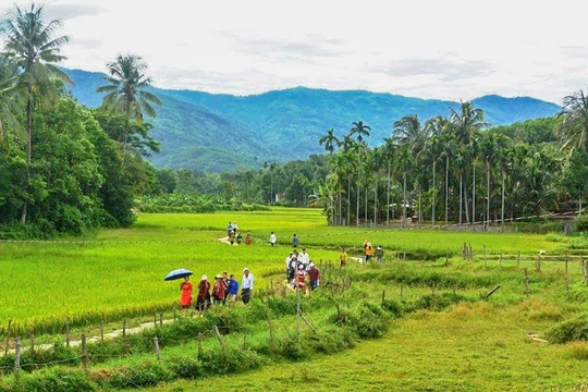 Một góc làng cổ Lộc Yên, huyện Tiên Phước, tỉnh Quảng Nam (ảnh UBND huyện Tiên Phước)