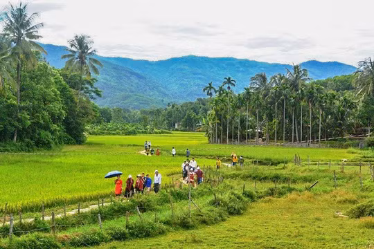Một góc làng cổ Lộc Yên, huyện Tiên Phước, tỉnh Quảng Nam (ảnh UBND huyện Tiên Phước)