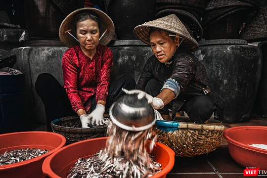 Nghệ nhân làng nghề nước mắm Nam Ô (Đà Nẵng) đong cá chuẩn bị cho mẻ mắm mới