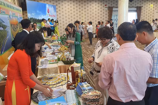 Các doanh nghiệp miền Trung tìm hiểu sản phẩm du lịch khu vực Đồng bằng sông Cửu Long tại hội nghị xúc tiến du lịch