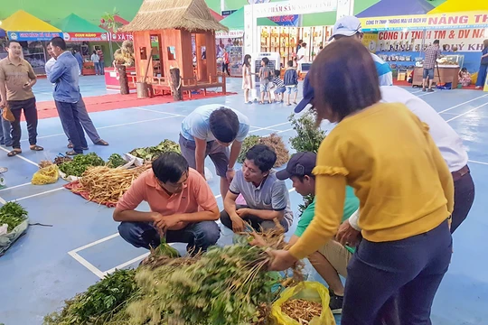 Cây dược liệu được bày bán tại chợ Sâm Ngọc Linh tỉnh Quảng Nam. (ảnh CTV)