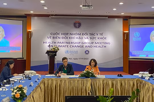 PGS.TS Nguyễn Thị Liên Hương - Thứ trưởng Bộ Y tế và đại diện WHO tại cuộc họp 