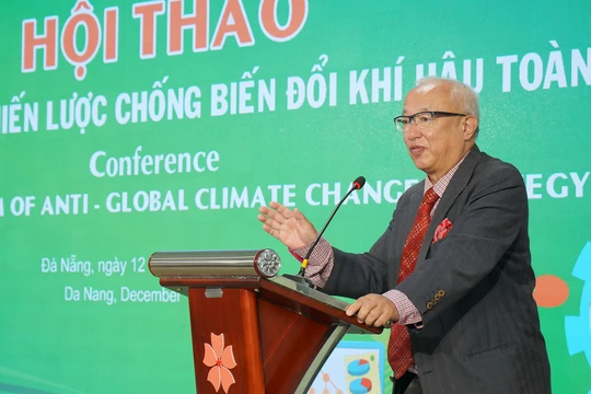 GS. Mitsuhiro Maeda – Viện AIIT Nhật Bản phát biểu tại hội thảo