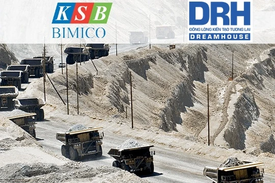 DRH đăng ký gom thêm 2,7 triệu cp KSB, đưa thành công ty liên kết. (Ảnh: Internet)