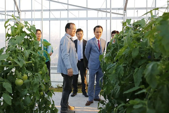 Phát triển nông nghiệp công nghệ cao là một hướng đi trọng tâm mới của Tập đoàn FLC. (Ảnh: FLC)