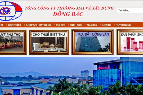 Tổng Công ty Thương mại và Xây dựng Đông Bắc là một doanh nghiệp lớn tại Thanh Hóa, thuộc sở hữu của gia đình bà Mai Thị Thắm. (Ảnh chụp màn hình website dongbacgroup.vn)