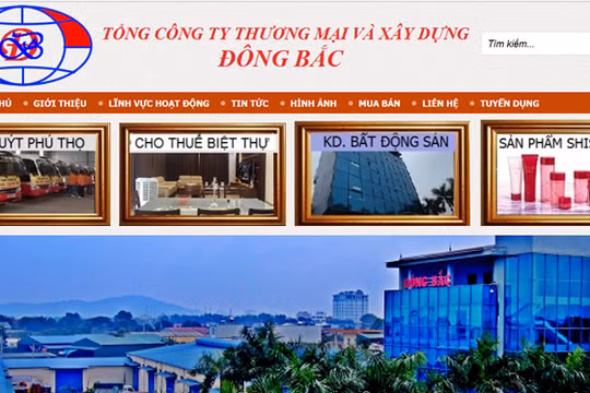 Tổng Công ty Thương mại và Xây dựng Đông Bắc là một doanh nghiệp lớn tại Thanh Hóa, thuộc sở hữu của gia đình bà Mai Thị Thắm. (Ảnh chụp màn hình website dongbacgroup.vn)