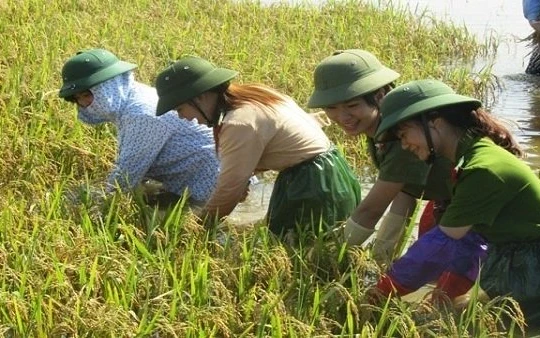 “Khát vọng Việt Nam” và “tụt hậu không còn là nguy cơ”