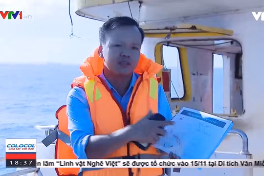 Vị trí nhận chìm vật chất nạo vét cảng Dung Quất: Không có rạn san hô, các sinh vật đặc hữu