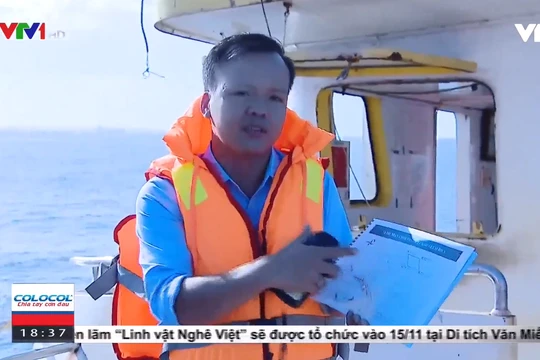 Vị trí nhận chìm vật chất nạo vét cảng Dung Quất: Không có rạn san hô, các sinh vật đặc hữu