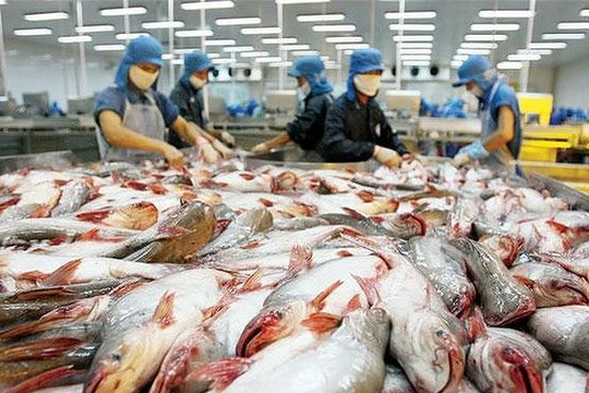 Mỹ đã giảm bớt áp lực lên Việt Nam liên quan thuế chống bán phá giá với sản phẩm cá da trơn Việt Nam. (Ảnh: Internet)