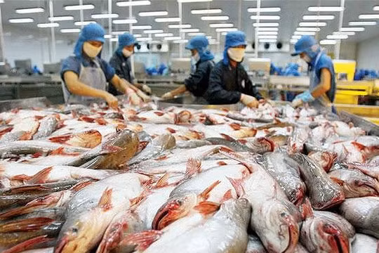 Mỹ đã giảm bớt áp lực lên Việt Nam liên quan thuế chống bán phá giá với sản phẩm cá da trơn Việt Nam. (Ảnh: Internet)