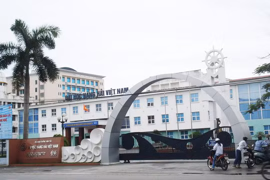 Đại học Hàng hải rao bán toàn bộ vốn góp tại DN Vận tải biển với giá từ 118,3 tỷ đồng. (Ảnh: internet)