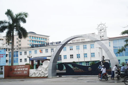 Đại học Hàng hải rao bán toàn bộ vốn góp tại DN Vận tải biển với giá từ 118,3 tỷ đồng. (Ảnh: internet)