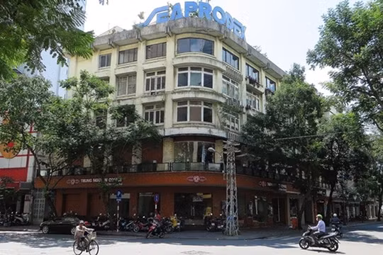 Seaprodex Saigon xuất hiện đại cổ đông mới. (Ảnh: Internet)