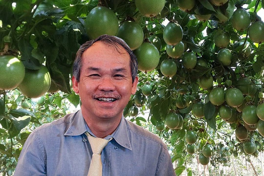 Nếu chấp nhận tham gia đợt chào bán trái phiếu chuyển đổi lần này, "bầu" Đức và các cổ đông khác của HNG hẳn phải rất tin vào triển vọng vực dậy của công ty. (Ảnh: Internet)