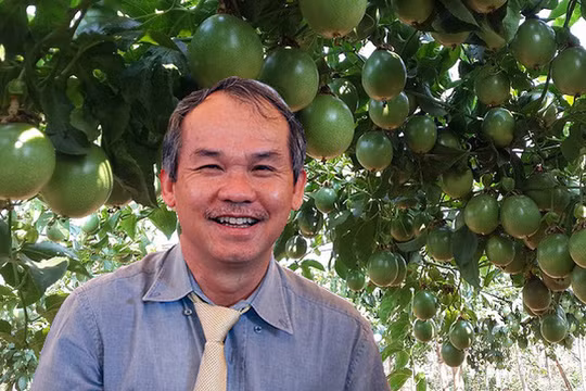 Nếu chấp nhận tham gia đợt chào bán trái phiếu chuyển đổi lần này, "bầu" Đức và các cổ đông khác của HNG hẳn phải rất tin vào triển vọng vực dậy của công ty. (Ảnh: Internet)