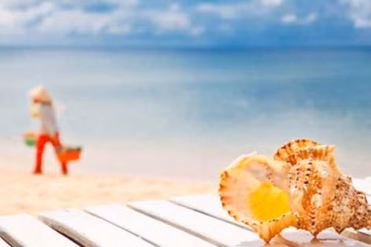 Ảnh mang tính minh họa. (Nguồn: Internet)