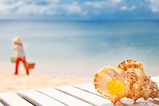 Ảnh mang tính minh họa. (Nguồn: Internet)