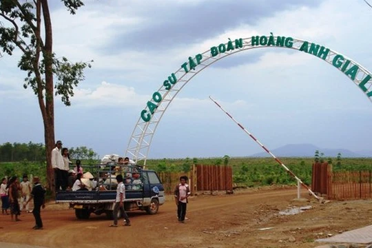 Với lý do quen thuộc, HNG, HAG xin gia hạn công bố thông tin thêm 10 ngày. (Ảnh: Internet)