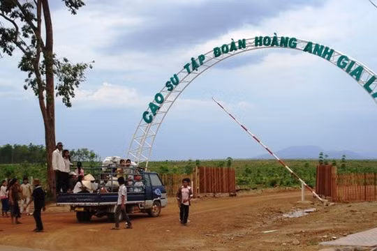 Với lý do quen thuộc, HNG, HAG xin gia hạn công bố thông tin thêm 10 ngày. (Ảnh: Internet)