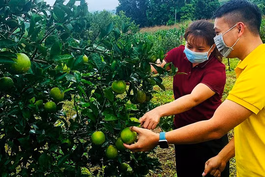 Gian hàng thanh niên khởi nghiệp trên sàn TMĐT Postmart nhằm giúp lực lượng thanh niên trên cả nước, đặc biệt thanh niên nông thôn chuyển đổi số dễ dàng hơn.