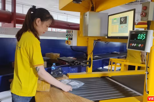 Dây chuyền chia chọn sử dụng công nghệ Cross belt tại Trung tâm vận chuyển và kho vận khu vực phái Bắc – TP. Hà Nội có 24 trạm nạp, mỗi trạm nạp xử lý khoảng 12-15 sản phẩm mỗi phút.