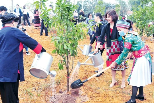 Đồng bào các dân tộc tham gia Tết trồng cây