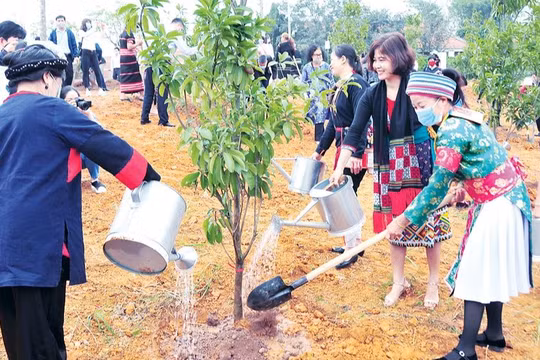 Đồng bào các dân tộc tham gia Tết trồng cây