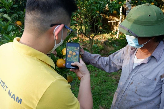 Nông dân được hướng dẫn sử dụng máy tính, điện thoai thông minh, Internet, nền tảng thương mại điện tử… để sớm làm chủ được hình thức bán hàng mới.