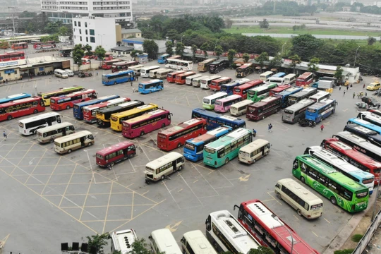 Các doanh nghiệp vận tải đánh giá việc đăng ký khai thác tuyến vận tải trực tuyến là bước cải cách thủ tục hành chính quan trọng.