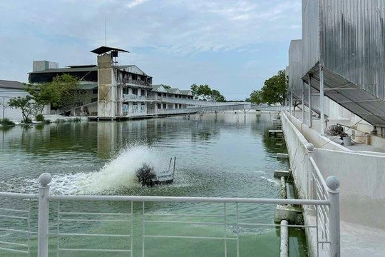 Mô hình HTX chăn nuôi Hoàng Long, xã Tân Ước, huyện Thanh Oai được xây dựng tiên tiến, hiện đại - Ảnh: VGP/Thiện Tâm