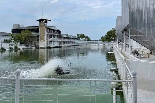 Mô hình HTX chăn nuôi Hoàng Long, xã Tân Ước, huyện Thanh Oai được xây dựng tiên tiến, hiện đại - Ảnh: VGP/Thiện Tâm