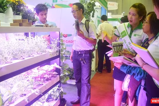 Liệu vườn rau thông minh có phải là giải pháp giảm thiểu nhiễm độc từ thực phẩm? 