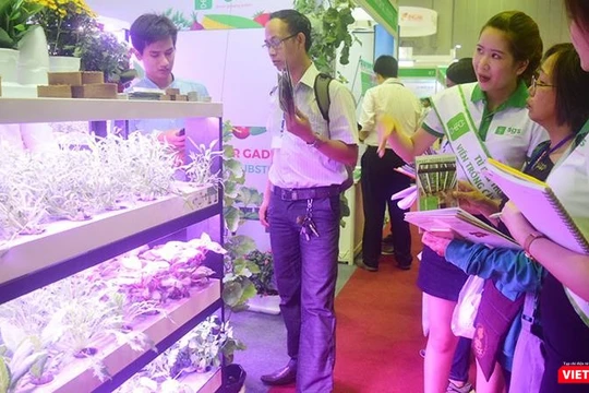 Liệu vườn rau thông minh có phải là giải pháp giảm thiểu nhiễm độc từ thực phẩm? 