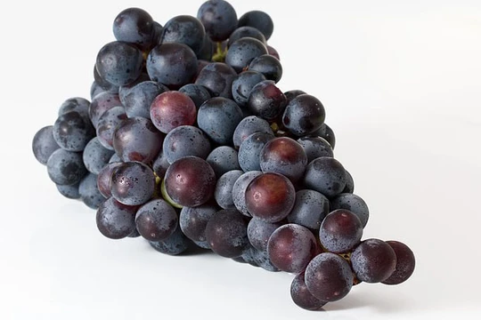 Có tới 7 tác động diệu kỳ từ trái nho tưởng vô cùng giản dị 