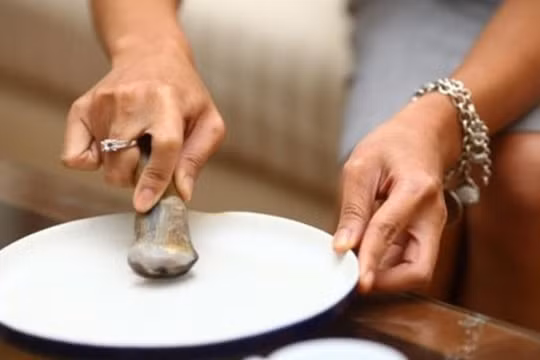 Trên mạng lan truyền bài thuốc từ bột sừng tê giác mài 