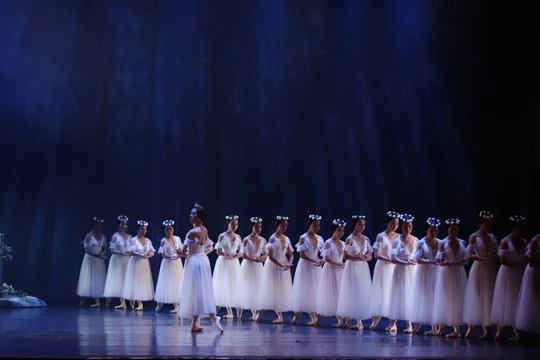 Nữ hoàng của các linh hồn Wilis và các nàng tiên trong vở múa Giselle