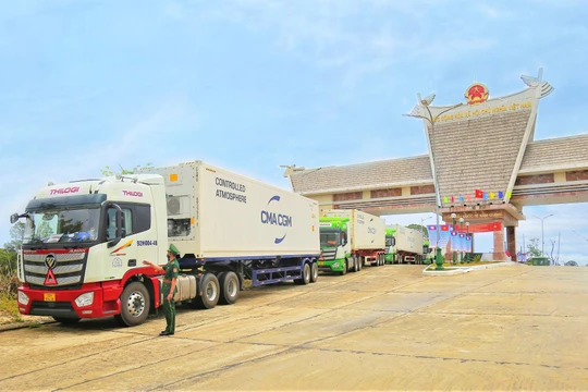  Phương tiện vận chuyển của THILOGI tại CK quốc tế Nam Giang trong ngày khai trương