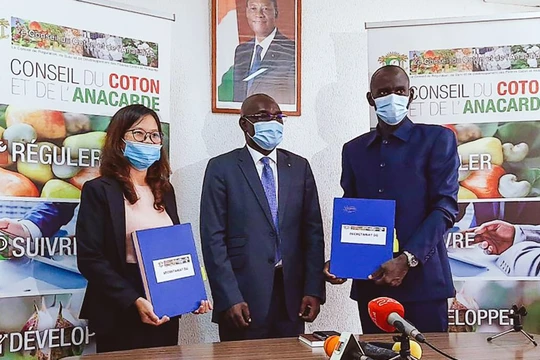 Bà Phạm Thị Phương Mai, đại diện Tập đoàn T&T Group và đại diện Liên minh các nhà xuất khẩu điều Bờ Biển Ngà ký kết hợp đồng thu mua 150.000 tấn điều thô dưới sự chứng kiến của Hội đồng Bông và Điều Bờ Biển Ngà 