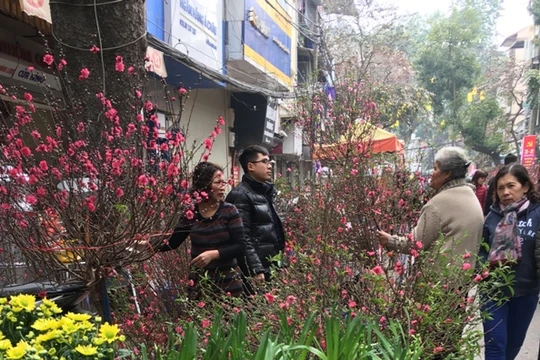 Chợ hoa Hàng Lược. 