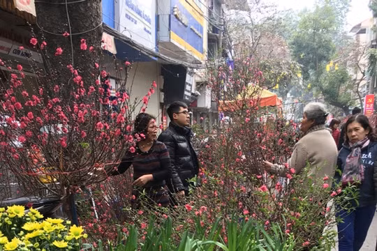 Chợ hoa Hàng Lược. 