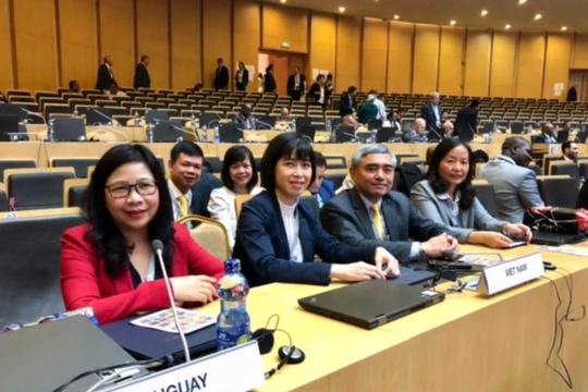 Đoàn Việt Nam tham dự Hội nghị Chiến lược cấp Bộ trưởng tại Đại hội Bất thường UPU lần thứ 2
