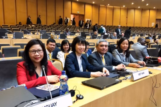 Đoàn Việt Nam tham dự Hội nghị Chiến lược cấp Bộ trưởng tại Đại hội Bất thường UPU lần thứ 2