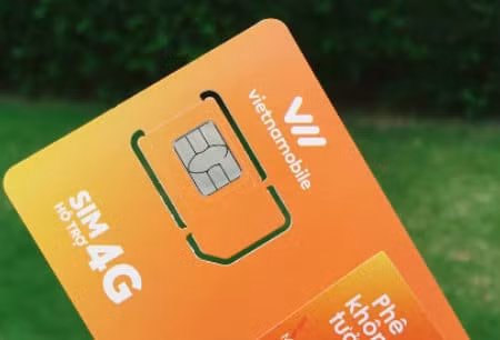 Thuê bao Thánh Sim sẽ không được đăng ký các gói data 4G sắp triển khai của Vietnamobile.