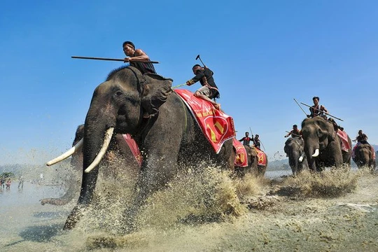 Tác phẩm “Về đích” của tác giả Ngô Minh Phương giành giải cao trong cuộc thi ảnh Di sản Việt Nam 2017.