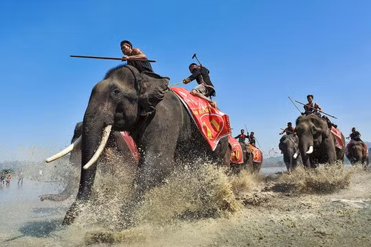 Tác phẩm “Về đích” của tác giả Ngô Minh Phương giành giải cao trong cuộc thi ảnh Di sản Việt Nam 2017.