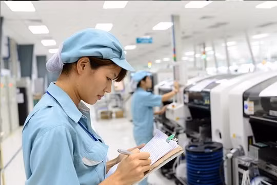 Công đoạn kiểm tra - ghi nhật kí công việc luôn được làm kĩ lưỡng.