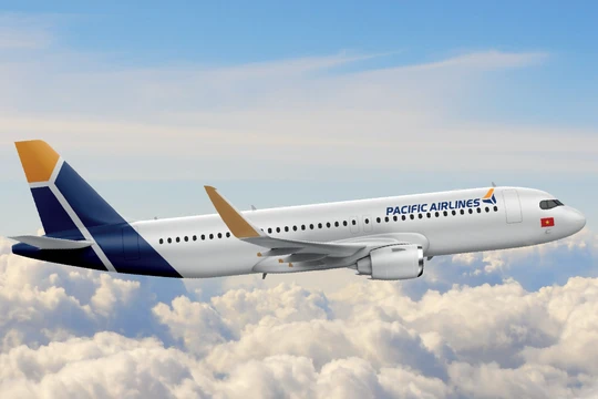 Pacific Airlines đứng trước rủi ro dừng hoạt động